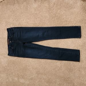 Joe jeans size 27